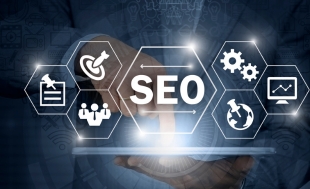 The SEO Become an Expert in Search Engine Optimization