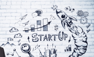 Business Model Canvas & Startup Planning