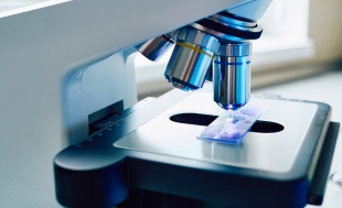 Microscopy Techniques