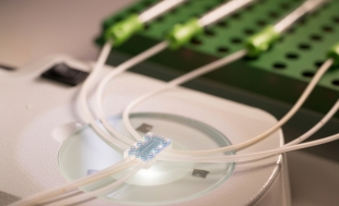 Biosensor Fabrication and Applications